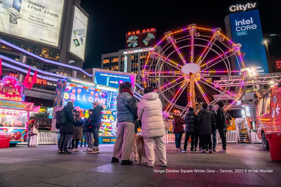 Toronto: Guided City Sightseeing Festive Lights Bus Tour - Where you meet: Yonge-Dundas Square vs. Sankofa Square