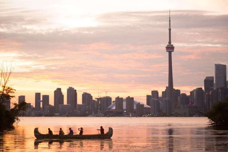 Toronto Islands: Sunset Canoe Tour - Wildlife spotting: birds first, then the surprise stories