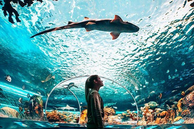 Toronto, Niagara Falls & Thousand Islands 3–DAY Trip - Tips for getting more out of your optional time