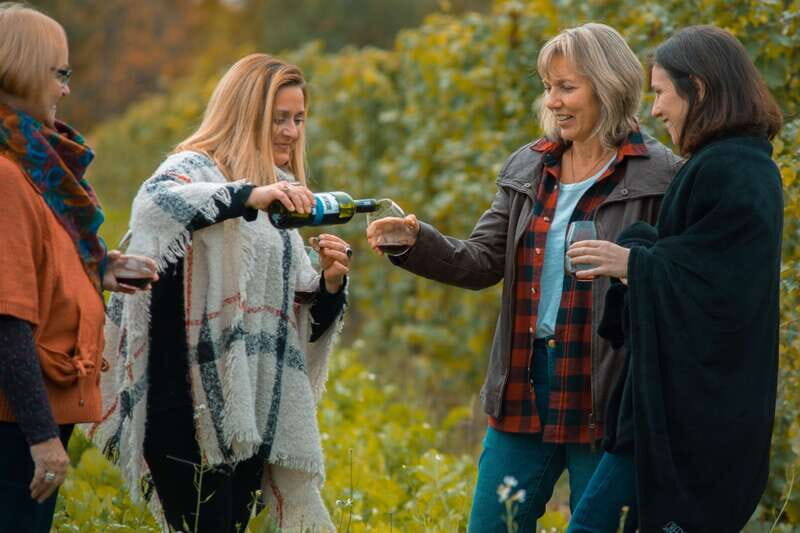 Toronto: Niagara Wineries Tasting Tour & Optional Lunch - Getting to Niagara Without Driving: The Real Value