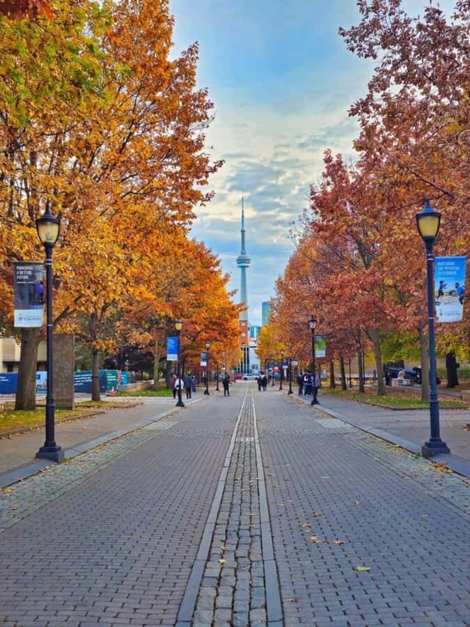 Toronto – Private 2-Hour Photoshoot with a Pro Photographer - How the Photographer Builds Your Look With Poses and Angles