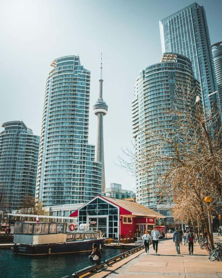 Toronto – Private 2-Hour Photoshoot with a Pro Photographer - Using Natural Light Like a Pro (Even When It’s Cold)