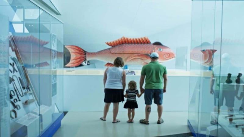 Toronto: Royal Ontario Museum Special Exhibits Voucher - Getting in smoothly: Weston Queen’s Park Entrance and screening