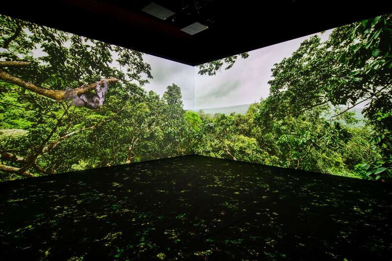 Toronto: Royal Ontario Museum Special Exhibits Voucher - Bat Cave and the science of nighttime mammals
