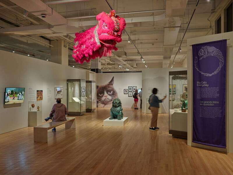 Toronto: Royal Ontario Museum Special Exhibits Voucher - Sculptures, gemstones, dinosaurs, and the family-friendly flow