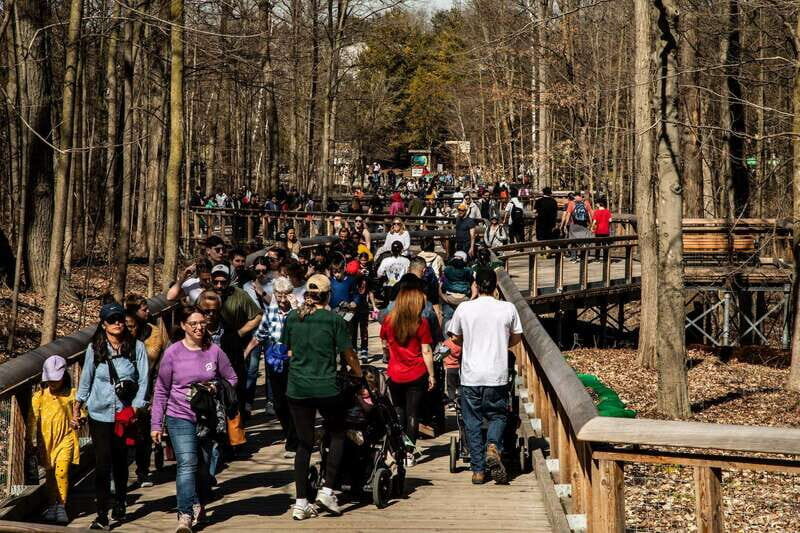 Toronto: Toronto Zoo Entry Ticket - Toronto Zoo Ticket Value: Why $22 Can Make a Full-Day Plan
