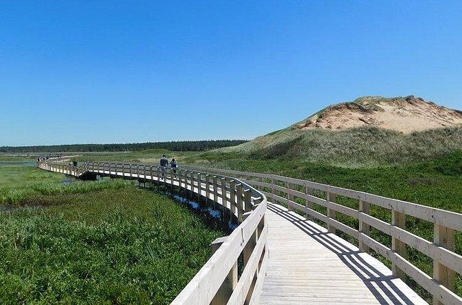 Tour from Morell to St. Peter’s Bay to Greenwich National Park - The 1 km Floating Walkway: A Short Hike With a Big View Reward