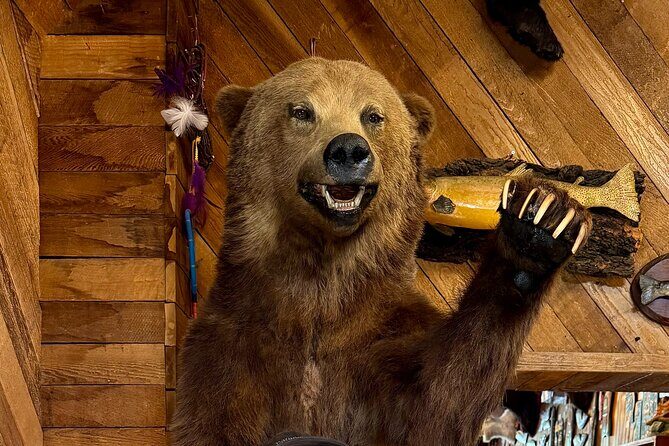 Town of Banff Highlights 2 Hour Walking Tour | Gratuity-Based - Banff Park Museum: when a short stop feels like the real introduction