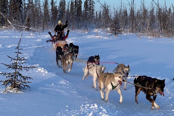 Traditional Dog Sledding Adventure in Yellowknife - How the 1:00 pm pickup keeps your whole day on track