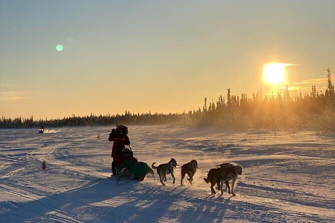 Traditional Dog Sledding Adventure in Yellowknife - Where the tour takes place: boreal country near Yellowknife