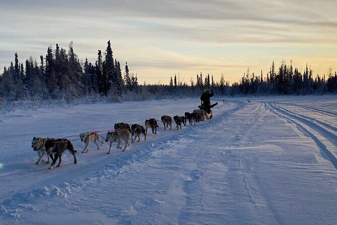 Traditional Dog Sledding Adventure in Yellowknife - Warm tent time: the comfort break you should plan for
