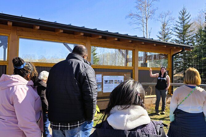 Transfer to Canmore & Banff: Yamnuska Wolfdog Sanctuary Tour - Small Group Comfort: What That Changes for Your Day