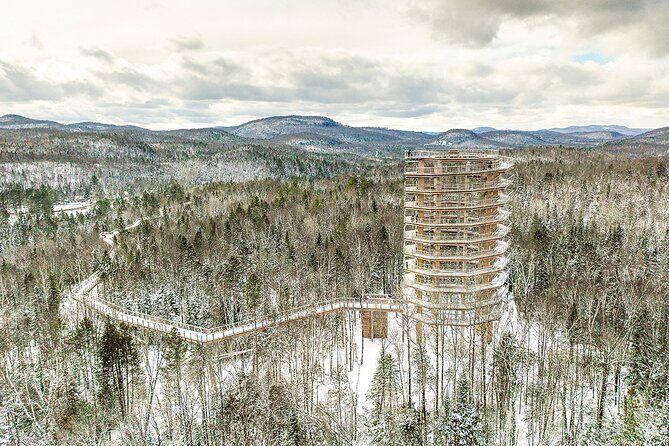Treetop Observatory and Walk - Key highlights you’ll care about