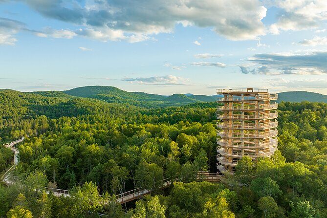 Treetop Observatory and Walk - Sentier des Cîmes: what you’re really paying for