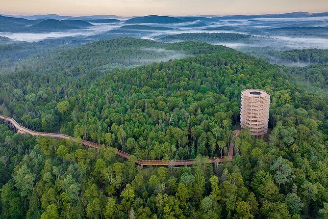 Treetop Observatory and Walk - The view from 40 m, plus the net you can walk on