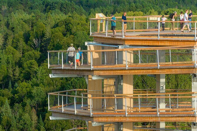 Treetop Observatory and Walk - Price and logistics: the value check from Montreal