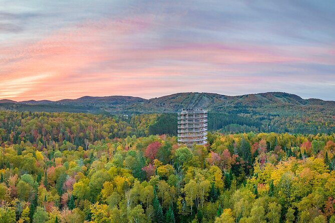 Treetop Observatory and Walk - Who should book Sentier des Cîmes (and who might not)