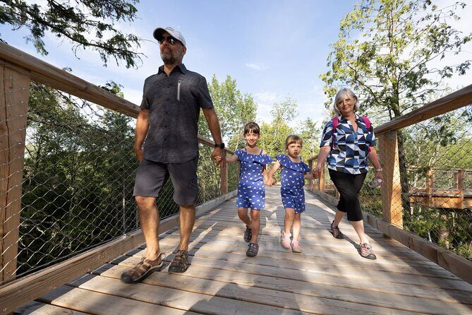 Treetop Observatory and Walk - Should you book the Treetop Observatory and Walk?