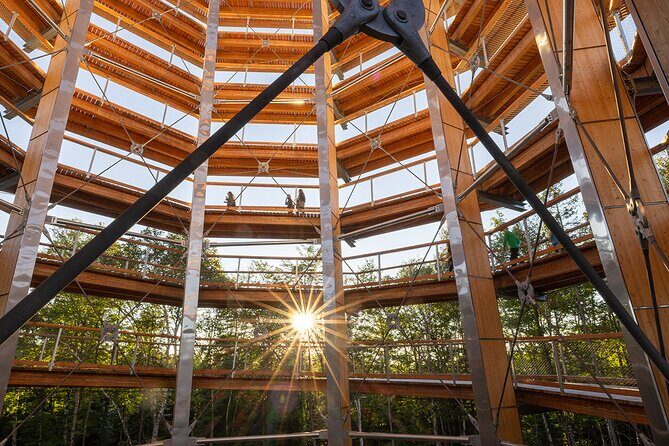 Treetop Observatory and Walk - The wooded climb to the treetop tower (your main moment)