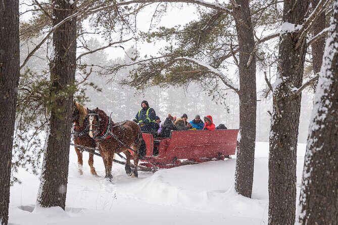 Tremblant Sleighride - Key Things I’d Plan For