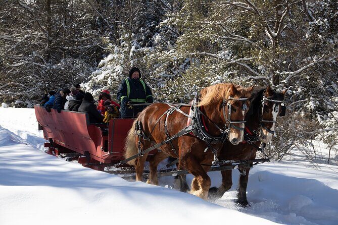 Tremblant Sleighride - Warm Blanks, Jingle Bells, and the Hot Chocolate Fire Stop