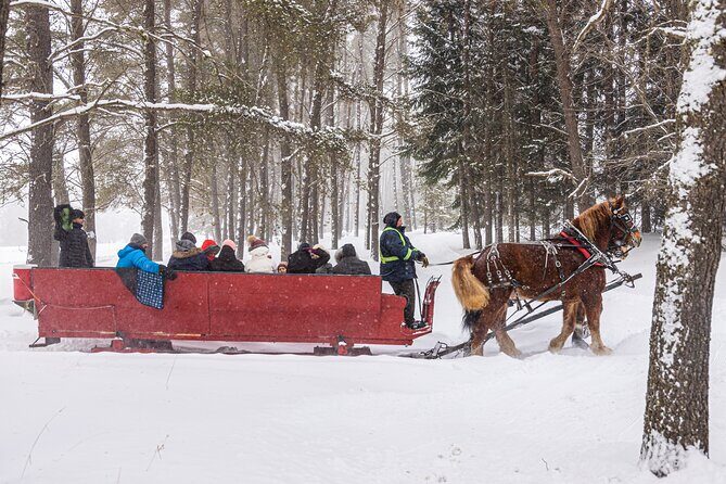 Tremblant Sleighride - Price and Value at $45.20: What’s Included and Who It Fits