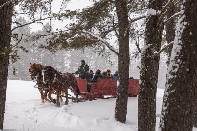 Tremblant Sleighride - Tips to Make the Ride Better: Clothing, Timing, and Expectations