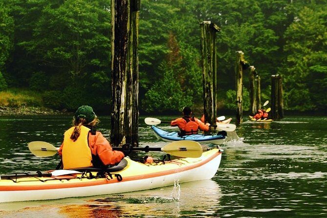 Ucluelet Harbour Tour - Key things to know before you go