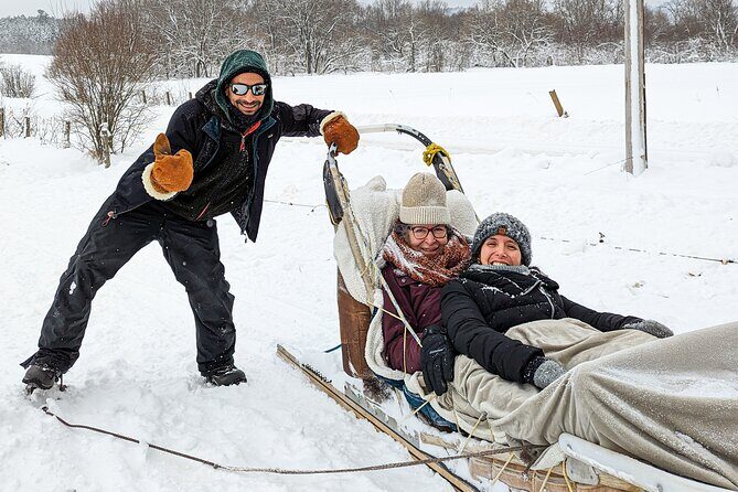 Ultimate Dog Sledding Tour - Day trip from Ottawa & Gatineau - Stop 1 in Thurso: dogs first, then the big waterfall