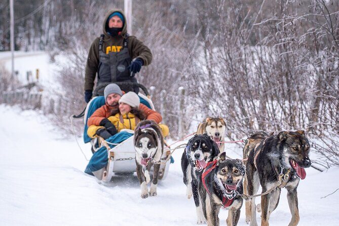 Ultimate Dog Sledding Tour - Day trip from Ottawa & Gatineau - The guides matter: who you might meet and why it affects the day