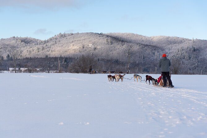 Ultimate Dog Sledding Tour - Day trip from Ottawa & Gatineau - How long is it, and how tiring is it?