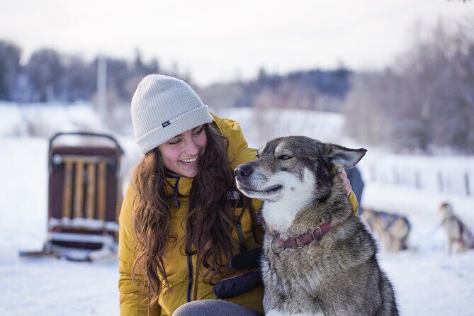 Ultimate Dog Sledding Tour - Day trip from Ottawa & Gatineau - Group size and comfort: a small operation feel