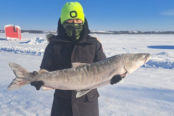 Ultimate Ice Fishing with Lunch - Key things to know before you go ice fishing in Yellowknife