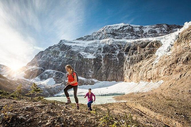 Ultimate Jasper Nature Walk - Wildlife spotting without the stress: beavers, eagles, and the big mammals