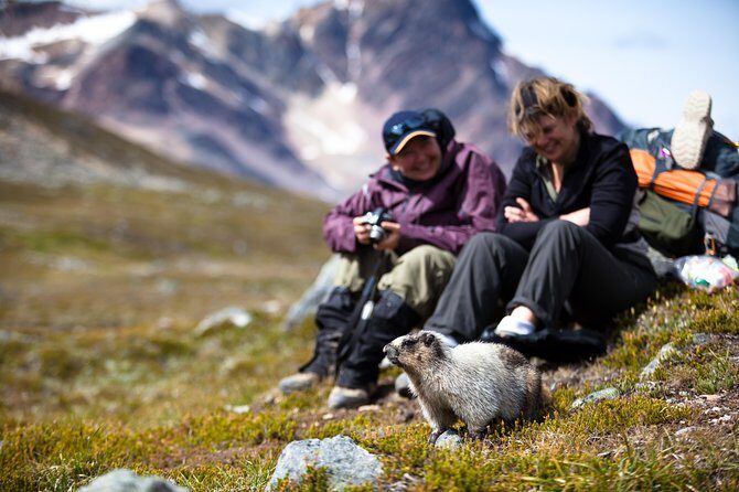 Ultimate Jasper Nature Walk - Price and value: why $64.43 can work in Jasper