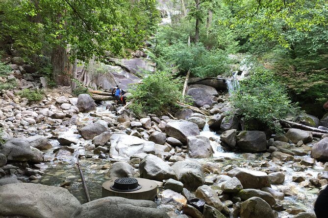 Unforgettable Whistler ( Full Day Private Tour) - Shannon Falls and Brandywine Falls: the best kind of quick break