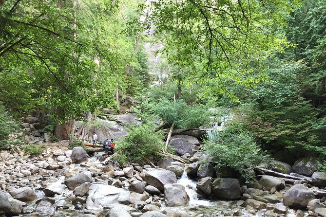 Unforgettable Whistler ( Full Day Private Tour) - Lunch, drinks, gondolas: your pocket plan for a smooth day