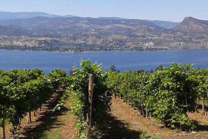Unmatched Private Wine Tours for Up to 11 in Kelowna Area - Lunch and food: how to plan so you don’t feel it later