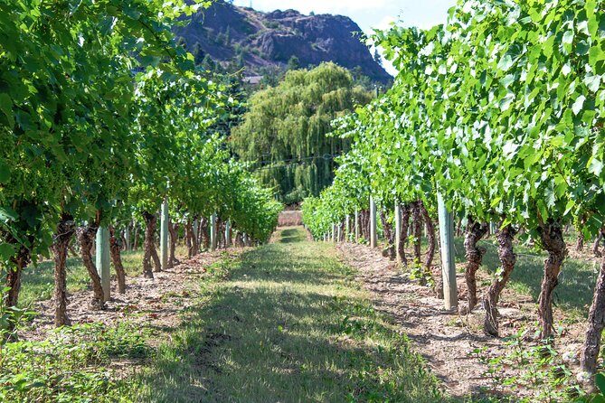 Unmatched Private Wine Tours for Up to 11 in Kelowna Area - Should you book Red Dog Wine Tours for this Kelowna private wine day?