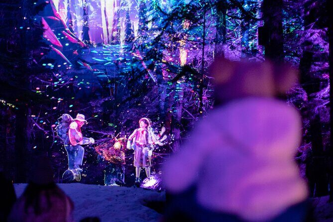Vallea Lumina Multimedia Evening Experience - Quick takeaways before you go