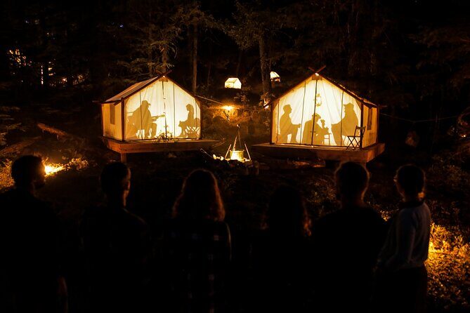 Vallea Lumina Multimedia Evening Experience - Vallea Lumina: what’s special about a night walk with a mission