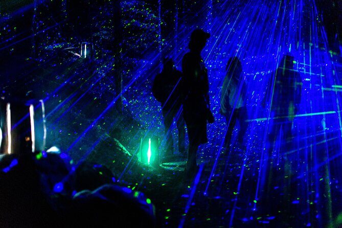 Vallea Lumina Multimedia Evening Experience - Following the mystery: radio transmissions, clues, and a clear sense of progress