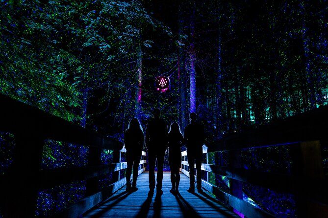 Vallea Lumina Multimedia Evening Experience - Moment Factory’s role: lights, sound, and the “walk-through show” effect