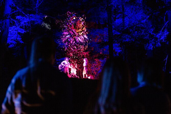 Vallea Lumina Multimedia Evening Experience - Who this suits best in real life