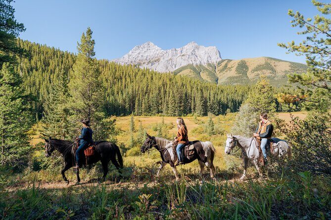 Valley Vista 1.5 Hour Horseback Trail Ride in Kananaskis - What You’ll Ride: The Valley Vista Trail Route, Step by Step