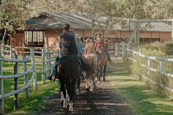 Valley Vista 1.5 Hour Horseback Trail Ride in Kananaskis - Buffalo in the Woods: The Best Part, Handled Safely