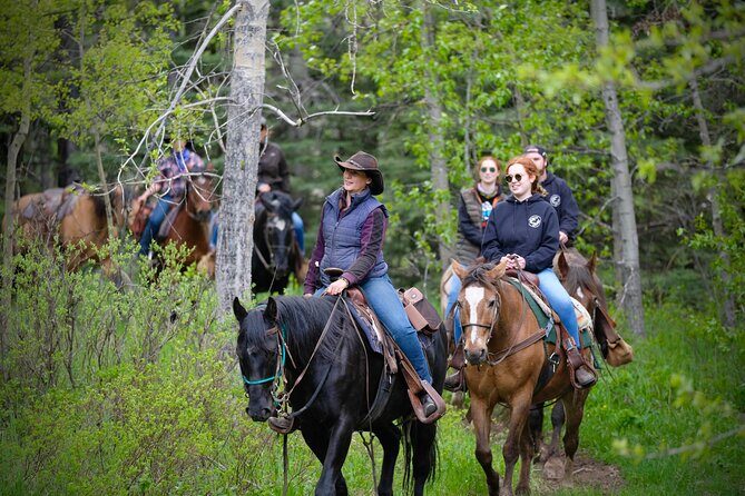 Valley Vista 1.5 Hour Horseback Trail Ride in Kananaskis - Quick Booking Checklist: What to Plan Before You Go