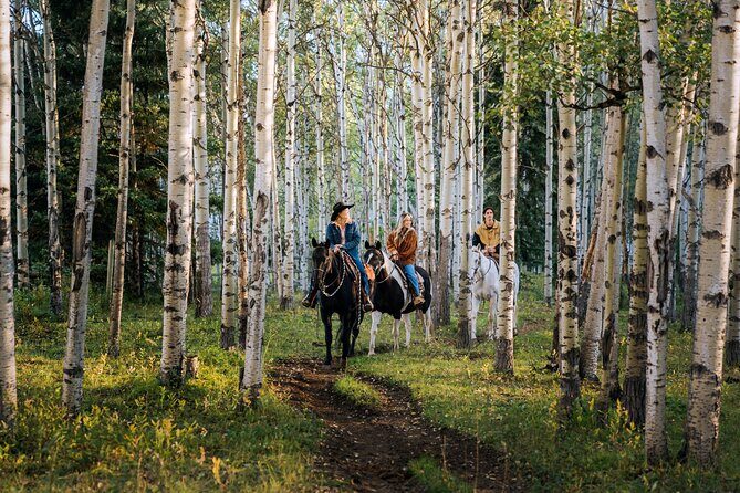 Valley Vista 1.5 Hour Horseback Trail Ride in Kananaskis - Camera Moments: Mount Kidd Views and When to Look Up
