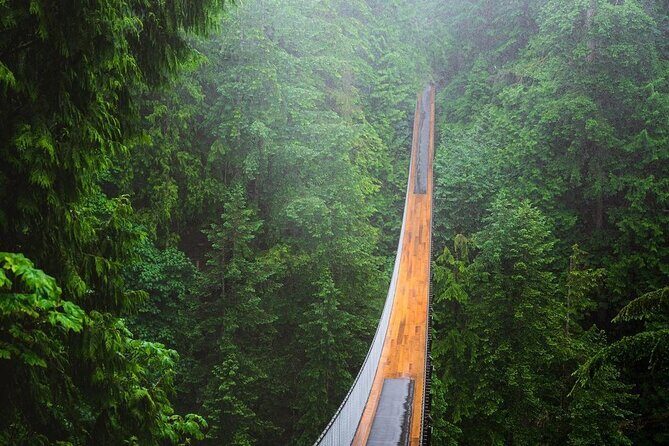 Vancouver 1-Day Tour (Granville Island/Stanley Park) (Chn&Eng) - Capilano Suspension Bridge Park: The Optional Add-On That Changes the Day