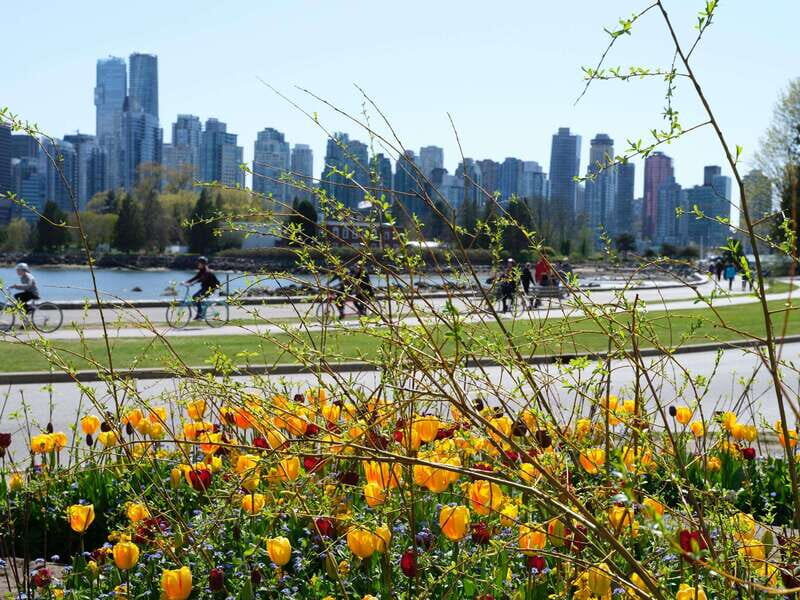Vancouver: 24 or 48-Hour Hop-On Hop-Off Trolley Tour Pass - Who should book this hop-on trolley pass